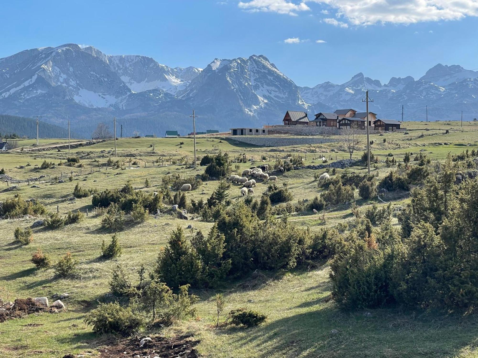 Peaksview Chalets Žabljak 外观 照片